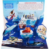 Энциклопедия-панорама "POP UP. Море" 10стр. 9785001347293 от магазина "Карандаш"