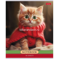 Тетрадь А5 48л клетка "Котики-артисты" на скобе 5 дизайнов 48Т5В1/085664 от магазина "Карандаш"