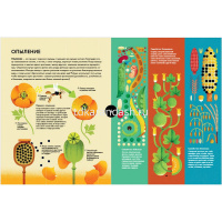 Книга "Солнечный свет на завтрак" 128стр. 978-5-17-126582-3 от магазина "Карандаш"