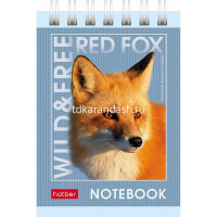 Блокнот А7 40л "Дикие и свободные" без линовки, на спирали 5 дизайнов 081128 от магазина "Карандаш"