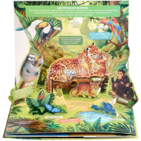 Энциклопедия-панорама "POP UP. Джунгли" 10стр. 9785001347323 от магазина "Карандаш"