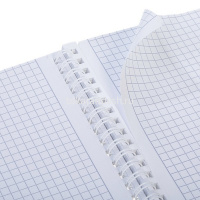 Тетрадь А4 96л клетка "Пределы нормы" на спирали, перфорация на отрыв, матовая ламинация 2 дизайна от магазина "Карандаш"