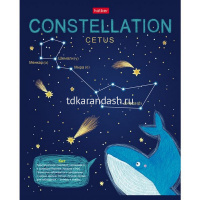 Тетрадь А5 48л клетка "Приходи считать звезды" на скобе 3D фольга матов. ламинация 5 дизайнов 067491 от магазина "Карандаш"