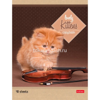Тетрадь А5 48л линия "Котята" на скобе 5 дизайнов 48Т5В2/047012 от магазина "Карандаш"