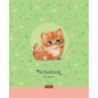 Тетрадь А5 48л клетка "Кошарики" на скобе 5 дизайнов 48Т5В1/075302 от магазина "Карандаш"