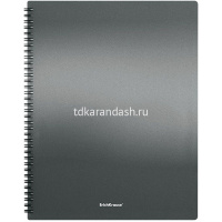 Папка 40 вкладышей "Matt Ice Metallic" А4 на спирали ассорти 49962 от магазина "Карандаш"
