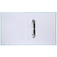 Папка на 2-х кольцах "NEWtone. Soft-touch. Pastel Зеленый нефрит" A5 30мм твердая обложка 092001 от магазина "Карандаш"