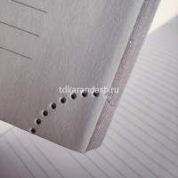 Ежедневник полудатированный А5 "Boss" 416стр., синий, серебряный срез, искусственная кожа 3-404/269 от магазина "Карандаш"