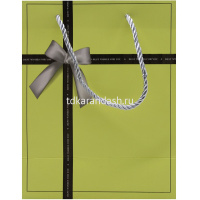 Пакет подарочный "Подарочная коробка" 32х26х10см 4 цвета Y10555-24 от магазина "Карандаш"