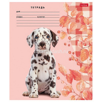 Тетрадь А5 24л линия "Милые носики" на скобе 5 дизайнов 24Т5В2/091484 от магазина "Карандаш"