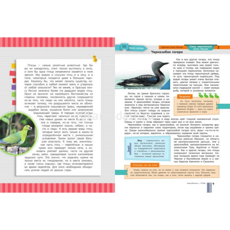 Красная книга России 280стр. (Пескова И.М.) 978-5-17-091649-8 от магазина "Карандаш"