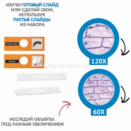 Микроскоп 3в1 22x7x27см пластик, с инструментами и подсветкой ВВ5655 от магазина "Карандаш"