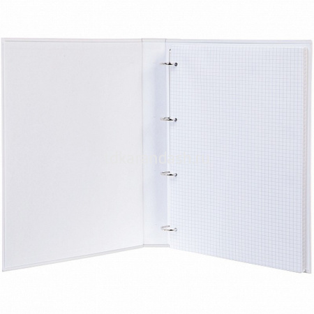 Тетрадь на кольцах А4 80л клетка "NEWtone Pastel Олива" глянцевая ламинация 80ТК4A1_05053/067708 от магазина "Карандаш"