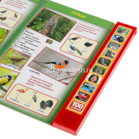 Книга "100 голосов окружающего мира" (10 кнопок, 100 звуков) 10стр. 9785506038412 от магазина "Карандаш"