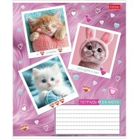 Тетрадь А5 24л клетка "Мяу-статусы" на скобе 5 дизайнов 24Т5В1/091442 от магазина "Карандаш"