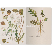 Тетрадь А5 40л клетка "Луговые травы" прошитый блок матовая ламинация 7-40-001/152 от магазина "Карандаш"