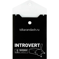 Папка-конверт на кнопке "Интроверт" 158х114мм вертикальный, полипропилен 0,18мм 69030 от магазина "Карандаш"