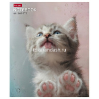 Тетрадь А5 48л клетка "Розовые лапки" на скобе 5 дизайнов 48Т5В1/090370 от магазина "Карандаш"