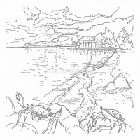 Раскраска д/акварели 21х21см "Манящее море" отрывная склейка жесткая подложка 36стр. 071555 от магазина "Карандаш"