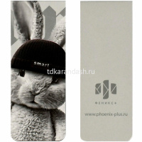 Набор закладок магнитных "Звери в шапочках" 2шт. 30х80мм 70072 от магазина "Карандаш"