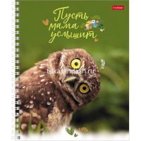 Тетрадь А5 96л клетка "Пусть мама услышит" на спирали глянцевая ламинация 4 дизайна 96Т5В1гр/075829 от магазина "Карандаш"