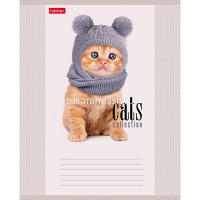 Тетрадь А5 12л клетка "Кототерапия" на скобе, 5 дизайнов 12Т5В1/058038 от магазина "Карандаш"