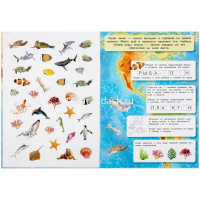 Книжка с наклейками "Атлас мира. Океаны" 70 наклеек 8 стр. 9785506048060 от магазина "Карандаш"