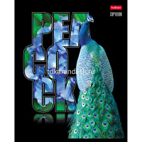 Тетрадь А5 48л клетка "Птица Дивная" на скобе 3D лак матовая ламинация 5 дизайнов 061406 от магазина "Карандаш"