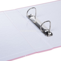 Папка 20 вкладышей "NEWtone. Pastel Пион" А4 20AV4_05018/061974 от магазина "Карандаш"