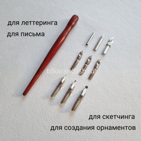 Набор для каллиграфии 10 предметов (9 перьев, держатель для пера) FLCG10W от магазина "Карандаш"