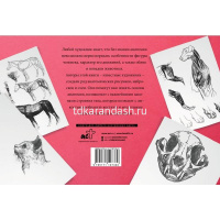 Альбом для скетчинга "Анатомия для художников" 112стр. 978-5-17-119736-0 от магазина "Карандаш"