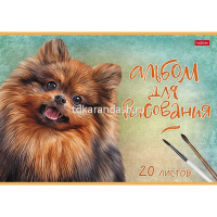 Альбом для рисования А4 20л "Наши верные друзья" на скобе тиснение 5 дизайнов 079718 от магазина "Карандаш"