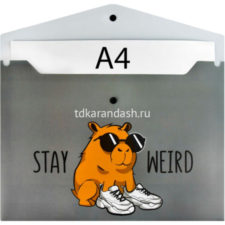 Папка-конверт на кнопке "Чудная капибара" A4 полипропилен, 0,15мм 69303 от магазина "Карандаш"