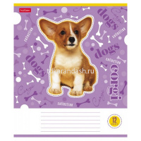 Тетрадь А5 12л клетка "Из жизни корги" на скобе 5 дизайнов 12Т5В1/063259 от магазина "Карандаш"