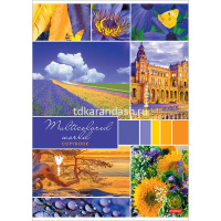 Тетрадь А4 96л клетка "Разноцветный мир" на скобе 96Т4В3/057369 от магазина "Карандаш"