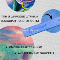 Пастель 24 цвета "Acmeliae" мягкая, прямоугольная, картон SPC-24 от магазина "Карандаш"