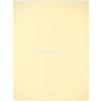 Папка на 2-х кольцах "Diagonal Pastel" A4 24мм пластик, цвет ассорти 49977 от магазина "Карандаш"