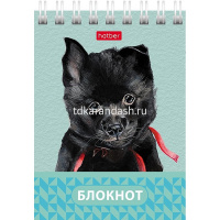 Блокнот А7 40л "Глазки, ушки, носик" клетка, на спирали 6 дизайнов 081186 от магазина "Карандаш"