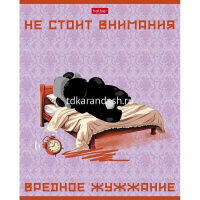 Тетрадь А5 48л клетка "Мудрая панда" на скобе 5 дизайнов 48Т5В1/088930 от магазина "Карандаш"