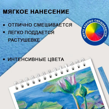 Пастель 12 цветов "Acmeliae" мягкая, прямоугольная, картон SPC-12 от магазина "Карандаш"