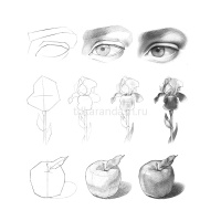 Скетчбук 21х21см 60л 120г/м2 "Цветочная акварель" спираль, твердая обложка 60Тт4Aгр_22204/061028 от магазина "Карандаш"