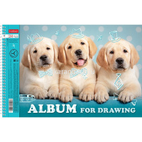 Альбом для рисования А4 24л "Меня зовут Гав" на спирали, перфорация на отрыв, 5 дизайнов 062425 от магазина "Карандаш"