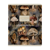 Тетрадь А5 40л клетка "Flora. Forest fairy tale" на скобе матовая ламинация Soft Touch, фольга 7-48- от магазина "Карандаш"