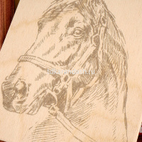 Набор для выжигания 13х18см "Лошадь" (рамка в комплекте) Вр-018 от магазина "Карандаш"