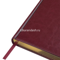 Ежедневник 2027 А5+ "Sidney Nebraska" 336стр., бордовый, золотой срез, искусственная кожа 3-125/01 от магазина "Карандаш"