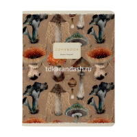 Тетрадь А5 40л клетка "Flora. Forest fairy tale" на скобе матовая ламинация Soft Touch, фольга 7-48- от магазина "Карандаш"