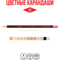 Карандаши 12 цветов "Fine. Скинтонс" круглые дерево, картон VFCPS-12 от магазина "Карандаш"