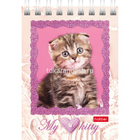 Блокнот А7 40л "Котята" клетка, на спирали 5 дизайнов 40Б7В1гр/051116 от магазина "Карандаш"