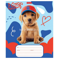 Тетрадь А5 12л клетка "Мы-пёсики!" на скобе 5 дизайнов 12Т5В1/089268 от магазина "Карандаш"