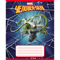 Тетрадь А5 12л линия "Человек- паук" на скобе 5 дизайнов 12Т5B2/057177 от магазина "Карандаш"